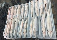 Лоток для рыбы